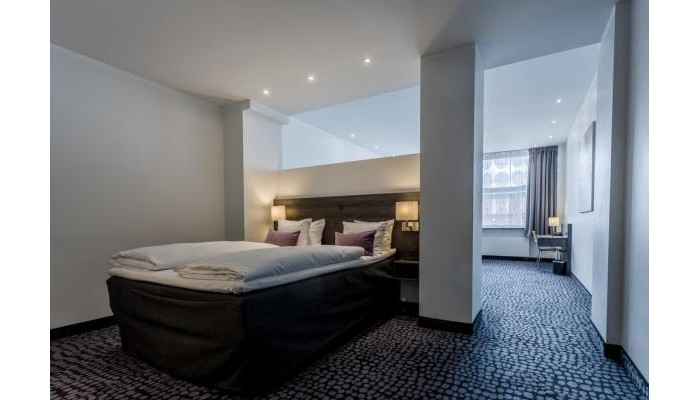 Copenhagen Mercur Hotel poza 9
