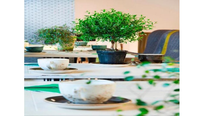 Hotel Absalon poza 8