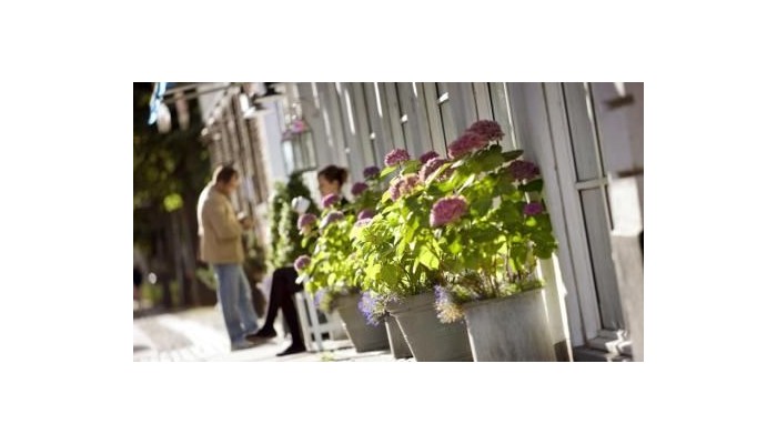 Hotel Christian Iv poza 33